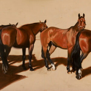 Four Polo Ponies Resting