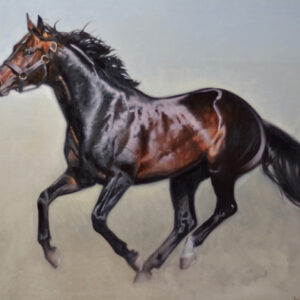 Galloping Bay